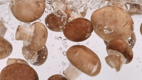 Whole Brown Champignons Falling into Water in Slow Motion on White Background Isolated. Fresh Mushrooms Splashing into Water. Healthy Food Concept. Macro - Powered by Shutterstock - Get 15% off with code: PIKWIZARD15
