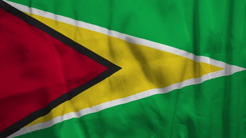 Flag of Guyana. High quality 4K resolution.