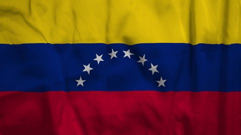 Flag of Venezuela. High quality 4K resolution.