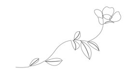Self drawing animation of continuous line flower on white background. Single line flower drawing. Alpha channel - Powered by Shutterstock - Get 15% off with code: PIKWIZARD15