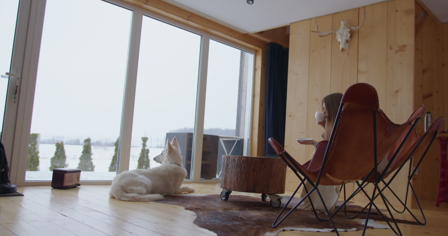 fair girl sitting in a leather chair near the panoramic windows overlooking the winter forest drinks tea from a white mug next to the dog white shepherd wolf lies on the wooden floor hunting lodge