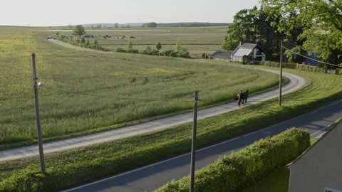drone shot of horsewoman walk near by a field with horse and dog 