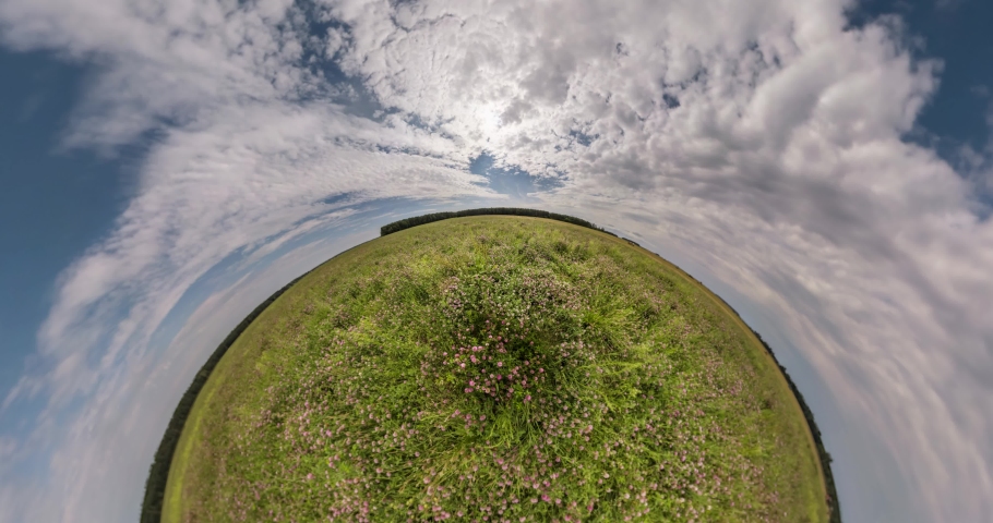 abstract spinning of a tiny planet with transformation into a blue globe or sphere in grass with clover flowers