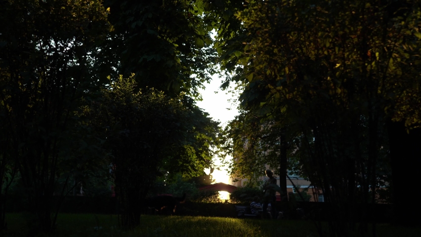 hidden camera in the central park sunset evening