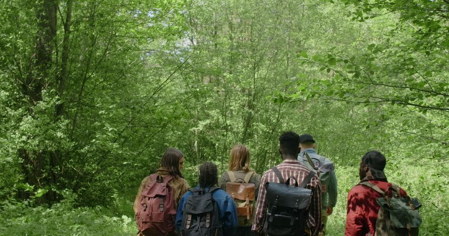Young multiracial people hike to the camp in the summer forest in sunset time, 4k 60p Prores