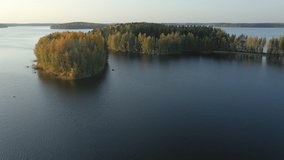 The closer look of the yellow color trees in Lake Saimaa in Finland. Near the Russian-Finnish border.geology video.4k