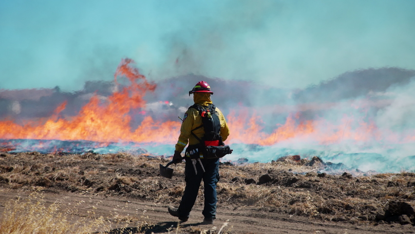Contra Costa California USA June 15 2021 Firefighter walks the fireline of a sizeable preset training wildfire with flames, smoke and shovel in hand. | Shutterstock HD Video #1088139215