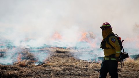 Contra Costa California USA June 15 2021 Firefighter in full gear with shovel slowly walks the fireline of preset training wildfire as flames are still spreading.
