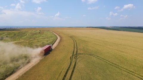Aerial view of cargo truck driving on dirt road between agricultural wheat fields making lot of dust. Transportation of grain after being harvested by combine harvester during harvesting season