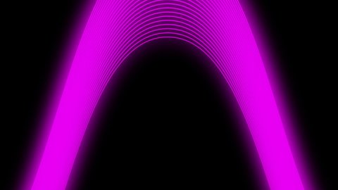 Abstract animation of subtle glowing neon wavy moving and rotating pink lines on black background. High quality FullHD footage
