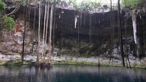 Open Cenote in Yucatan, Mexico