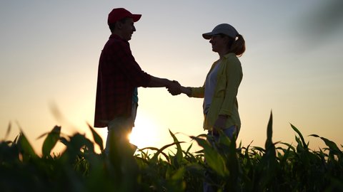 Agriculture. two farmers shake hands, conclude a business contract for a corn field. agriculture sale harvest concept. sunlight business handshake of farmers in a corn field. shake hands agriculture