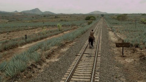 Стоковое видео: Riding a horse in the railroads of the agave valleys of Tequila Jalisco, Mexico.