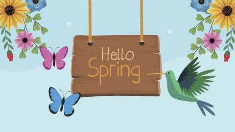 hello spring lettering with hummingbird and flowers , 4k video animated