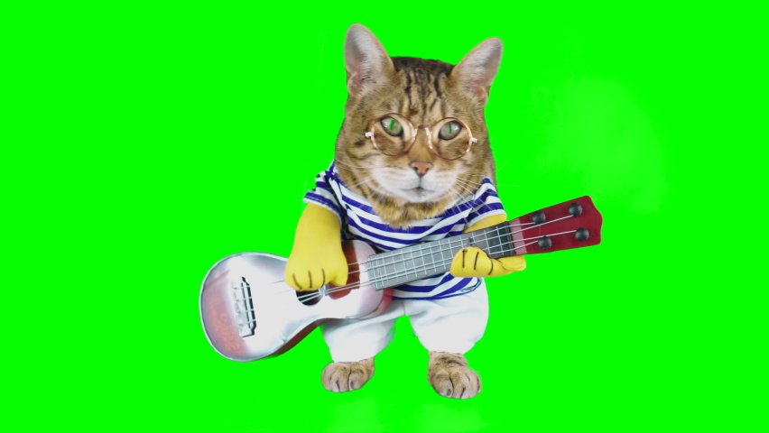 Shutterstock video thumbnail