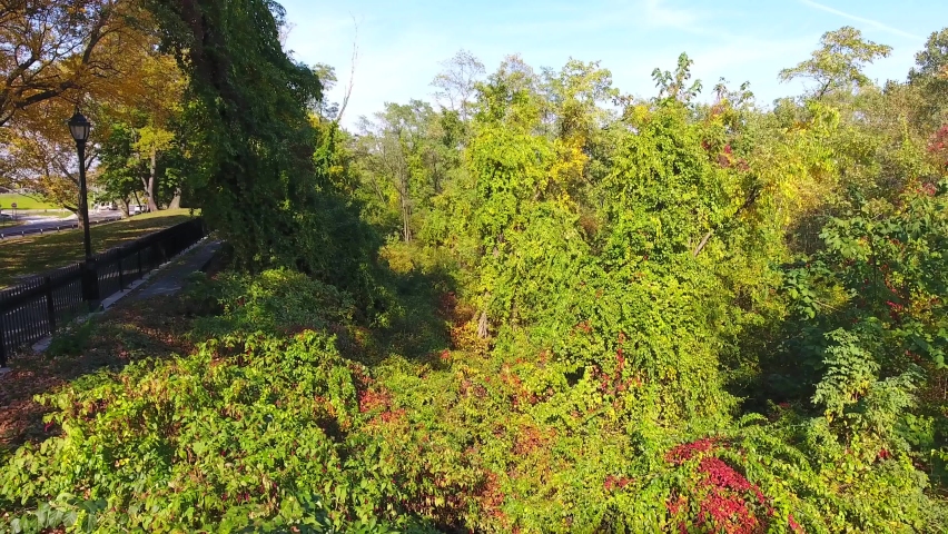 Flying through a park of trees.