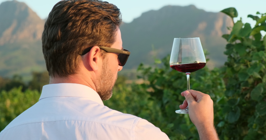 Concentrated sommelier inhaling race of wine. a respectable man stands at the winery with a glass of wine and enjoys the smell of red wine. back view. winery near mountains of Cape Town, South Africa
