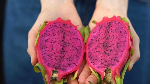 Female hands holding fresh ripe organic dragon fruit or pitaya, pitahaya. Exotic fruits, healthy eating concept
