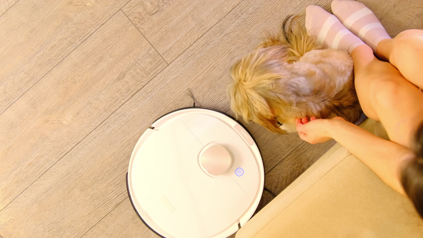 Lady strokes small dog while robot vacuum cleaner hoovers parquet in living room. Woman with pet rests technology cleans house