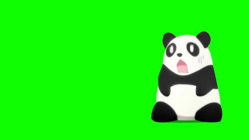 Сюрприз панда. Панда футаж.