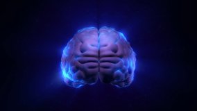 Digital hologram of the rotating human brain at brainstorming activity with moving neural synapses. Nervous system transmits the signals and impulses to the brain. Neurobiology science 3d animation. - Powered by Shutterstock - Get 15% off with code: PIKWIZARD15