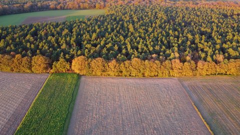 Aerial view flying forwards over cropland and forest in autumn, Munningsbos, Sint Odilienberg, Limburg, Netherlands.