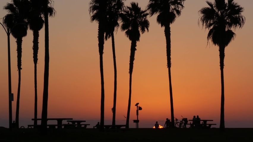 Orange sky, silhouettes of palm trees on beach at sunset, California coast, USA. Bicycle or bike in beachfront park at sundown in San Diego, Mission beach vacations resort on shore. People walking. Royalty-Free Stock Footage #1088210917