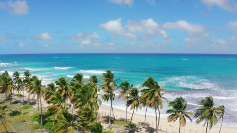 An exotic trip to the wild tropical palm beach of the Dominican Republic. Sunny summer day on the sea coast. Relaxation and rest under palm trees on white sand. Bright turquoise sea waves.
