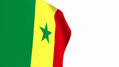 Senegal flag video. 3d Senegal Flag Slow Motion video. the national flag fluttering freely Inside white background. Full HD resolution video. close-up view.