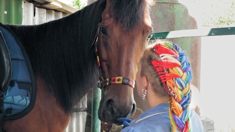 horse care. horsewoman with her horse. horse giving a kiss. Taking care of pets. Horse love. Equitation.