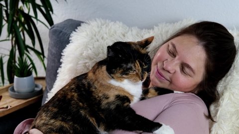 close-up of adult domestic cat, middle-aged woman of 50 years old in pink sweater sits on sofa in room, concept of stay at home, cozy home, keeping four-legged pets, pet care, daily life