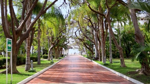 Puerto Vallarta, Mexico - Feb, 2022: Beautiful path full of trees in a hotel facing the sea, a hotel in Puerto Vallarta has a red path where tourists can go directly to the beach.