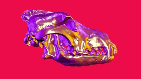 Metal shiny chrome dog or wolf skull isolated on red background. Colorful abstract art design. Pop art colorful fashion element. Realistic digital 3d animation animal head.