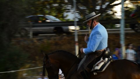 Alhaurin de la Torre, Malaga Spain - 07 08 2017: Andalusian horse and rider performing trot and galloping exercises at exhibition