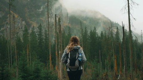 Video with noise. Young happy woman tourist walks in Polish Carpathian mountains Zakopane in rain. High rocks, pine firs green trees. spring autumn nature. Hiker girl stands enjoy nature back view