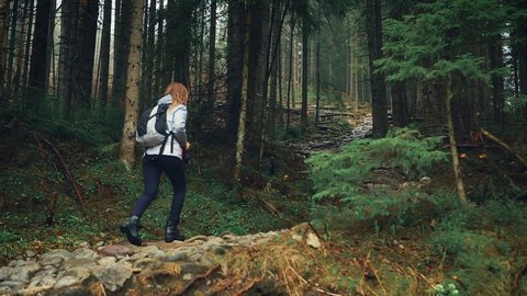Video with noise. Happy woman tourist walks in Polish mountains Tatry Zakopane. pine firs green trees spring autumn nature. Hiker girl walks along path of stones deep dark forest woods. Back rear view