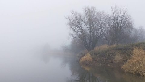 A motorboat is sailing along the river along the shore in the fog. Visibility is limited because of the fog. In November, the trees standing on the shore have already shed their leaves