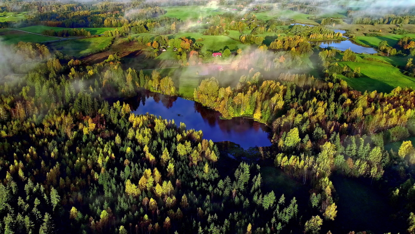 Aerial drone shot over Idyllic countryside nature landscape with grasslands on one side and green forest on the other side on a sunny morning. Beautiful aerial footage video.