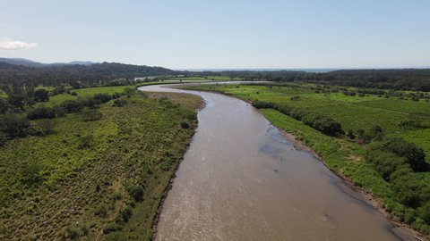 Aerial shot of the famous Tarcoles river with crocodiles in Costa rica.
Top shot of big caiman, crocodiles in a brown river.