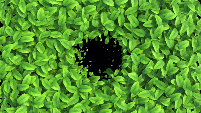 Growing Green Leaves Covering the Screen. Growing Foliage Animation with Alpha channel. Useful for Transitions. 4k Ultra HD 3840x2160. 3d illustration.