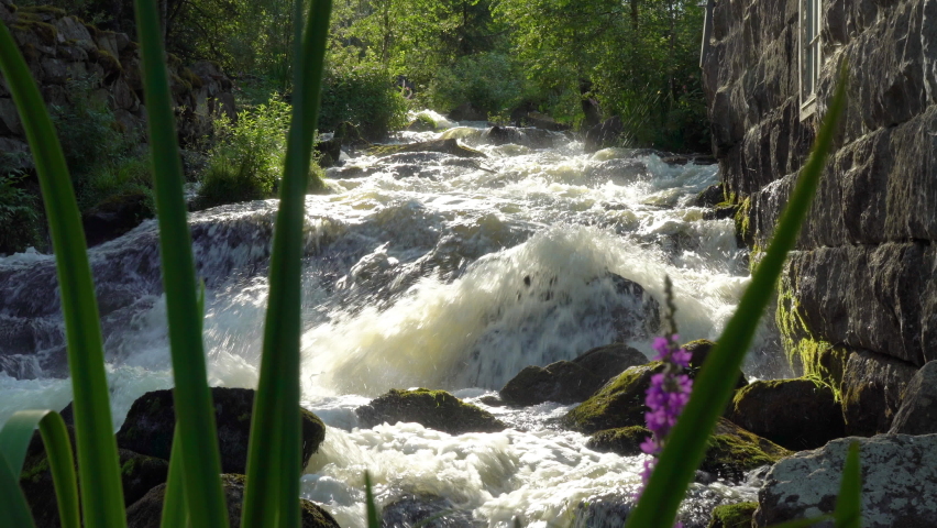 Stream running fast next to the old water mill. Small waterfall with crystal clear water in central Finland. Stones and logs covered with moss.