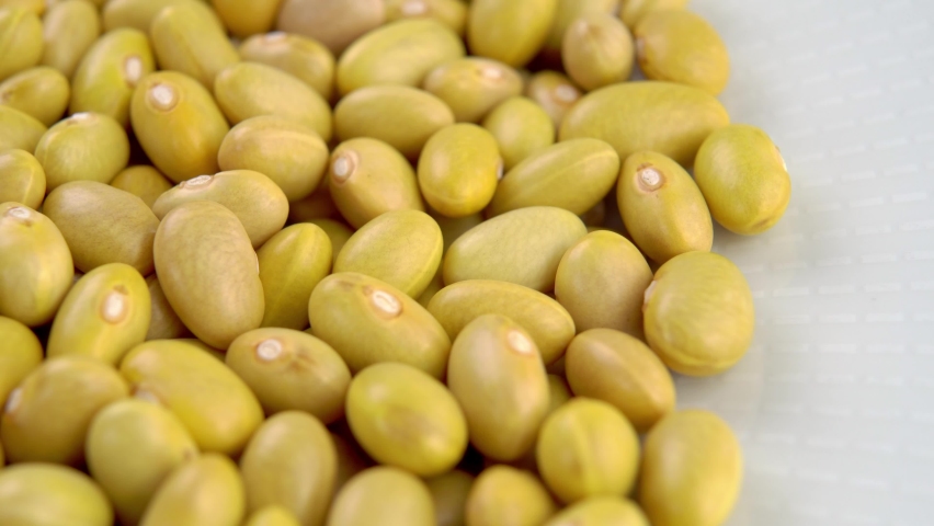 Uncooked peruvian bean in white plate. Mayocoba grains. Macro. Rotation. Canary legumes