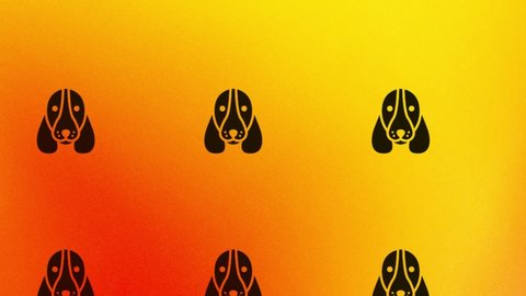 spinning basset hound dog icon animation on orange and yellow