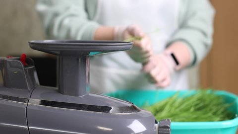 Extraction of wheatgrass juice using a professional electric juicer. A woman in gloves puts wheat sprouts into a juicer. Preparation of healthy juice from raw micro greens