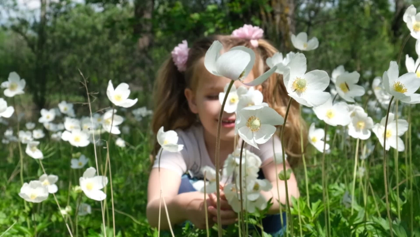 Little girl picking summer flowers in a field. Happy child enjoying nature outdoors
