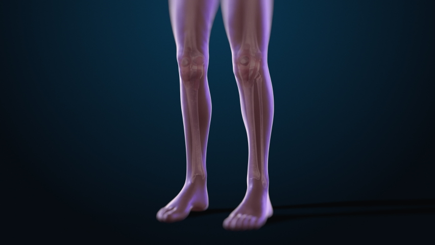 VFX Joint and Knee Pain Virtual Reality Presentation Render. Animated Person Experiencing Discomfort in a Result of Leg Trauma or Arthritis. Schematic Medical Visualization. Royalty-Free Stock Footage #1088284733