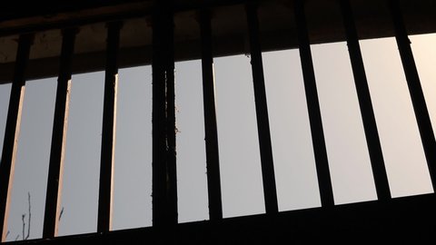 Window of a prison cell photographed from the inside, tree branch outside
