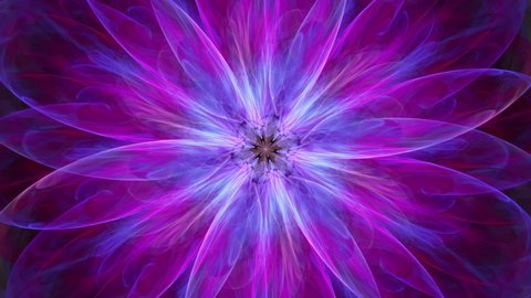 Sacred ever changing fractal lotus flower purple bloom - seamless looping, meditation kaleidoscope music vj streaming background.