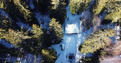 Top view aerial footage of small log cabin in forest area. Nobody in sight. No people. Log cabin. Pine trees with snow. Misty day in winter. Cabin in snowy forest. Home, getaway, drone, peacful. 