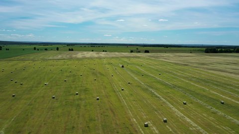 Drone footage of stacks dry hay open air field storage. Haystack on field. Haystacks from residues grass. Haystack for agriculture. Hayrolls after hay round baler tractor.